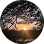 Sheetal R H Profile Image